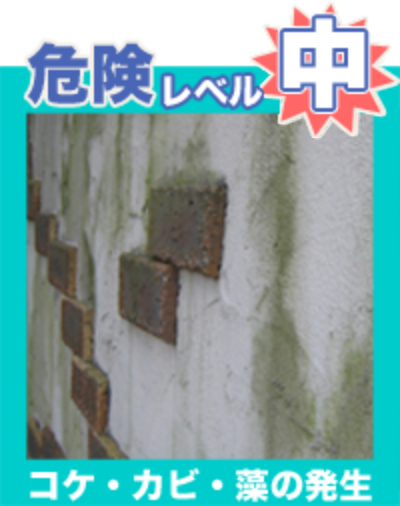 危険レベル中-コケ・カビ・藻の発生-