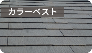 カラーベスト